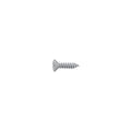 Hosco Pickguard Screw